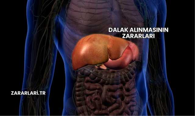 Dalak Alınmasının Zararları