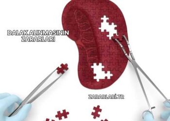 Dalak Alınmasının Zararları