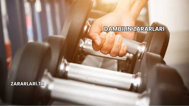 Dambılın Zararları