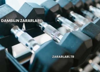 Dambılın Zararları