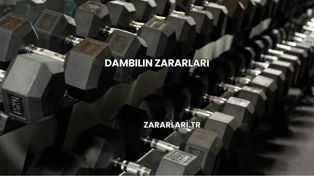 Dambılın Zararları
