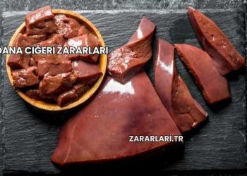 Dana Ciğeri Zararları