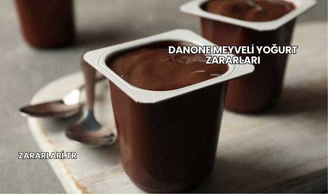 Danone Meyveli Yoğurt Zararları
