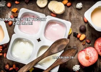 Danone Meyveli Yoğurt Zararları