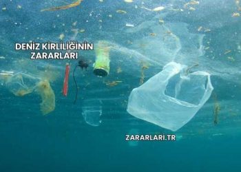 Deniz Kirliliğinin Zararları