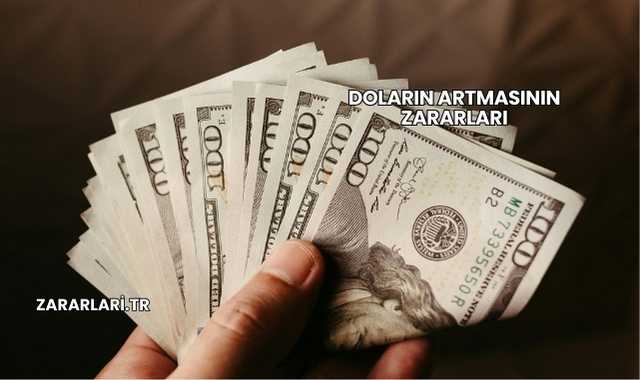 Doların Artmasının Zararları