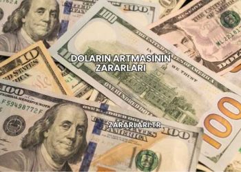 Doların Artmasının Zararları