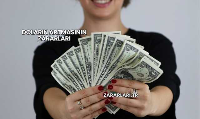 Doların Artmasının Zararları