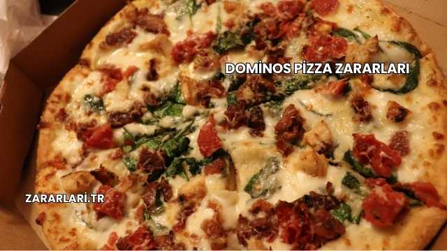 Dominos Pizza Zararları