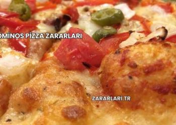 Dominos Pizza Zararları