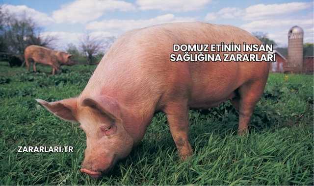 Domuz Etinin İnsan Sağlığına Zararları