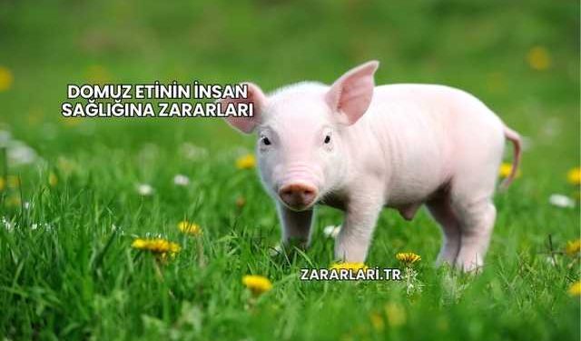 Domuz Etinin İnsan Sağlığına Zararları