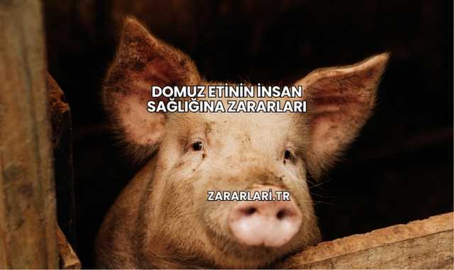 Domuz Etinin İnsan Sağlığına Zararları