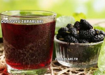 Dut Suyu Zararları