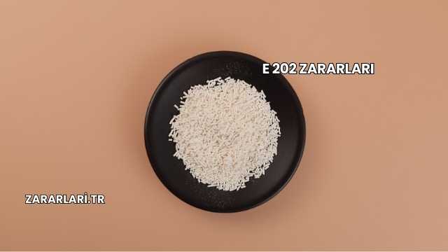 E 202 Zararları