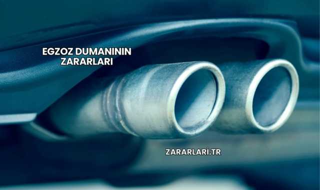 Egzoz Dumanının Zararları