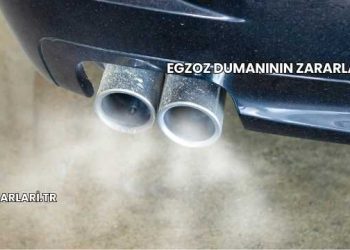 Egzoz Dumanının Zararları