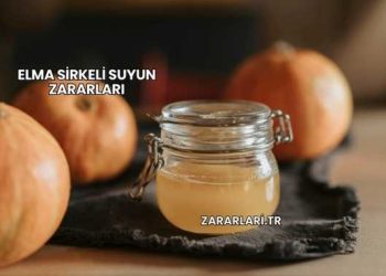 Elma Sirkeli Suyun Zararları