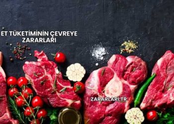 Et Tüketiminin Çevreye Zararları