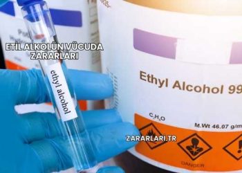 Etil Alkolün Vücuda Zararları