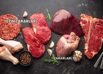 Etin Zararları