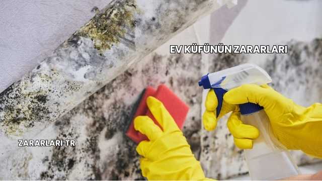 Ev Küfünün Zararları