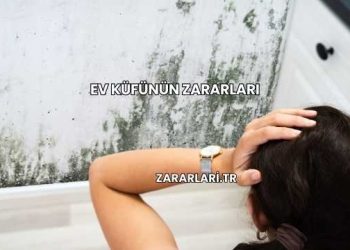 Ev Küfünün Zararları