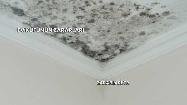 Ev Küfünün Zararları
