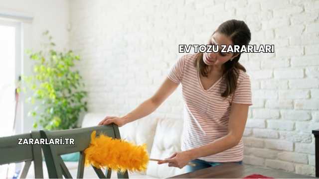 Ev Tozu Zararları