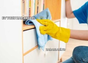 Ev Tozu Zararları