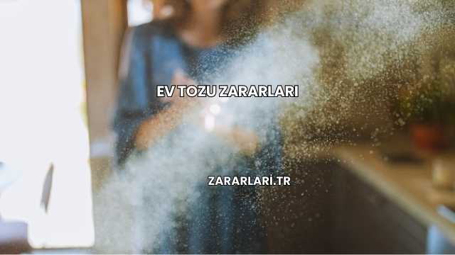 Ev Tozu Zararları