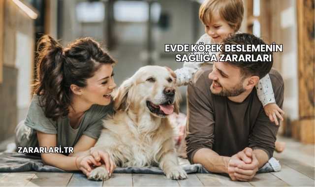 Evde Köpek Beslemenin Sağlığa Zararları
