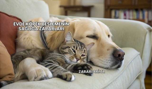 Evde Köpek Beslemenin Sağlığa Zararları