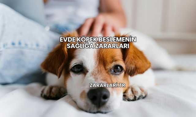 Evde Köpek Beslemenin Sağlığa Zararları