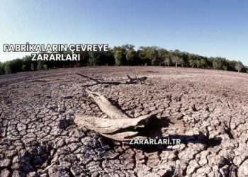 Fabrikaların Çevreye Zararları