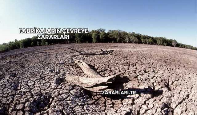 Fabrikaların Çevreye Zararları