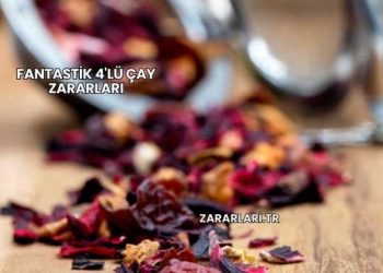 Fantastik 4'lü Çay Zararları