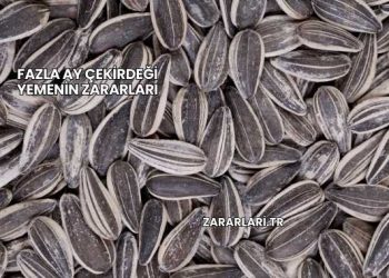 Fazla Ay Çekirdeği Yemenin Zararları