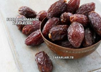 Fazla Hurmanın Zararları