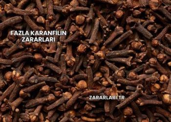 Fazla Karanfilin Zararları