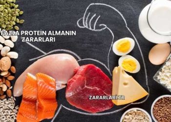 Fazla Protein Almanın Zararları