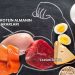 Fazla Protein Almanın Zararları