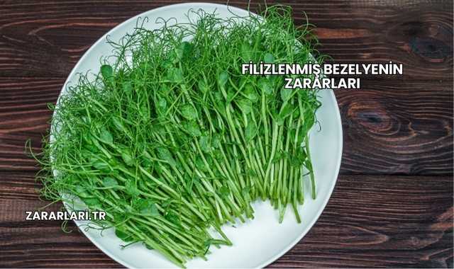 Filizlenmiş Bezelyenin Zararları