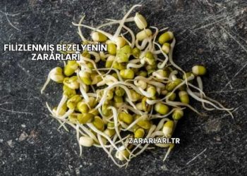 Filizlenmiş Bezelyenin Zararları