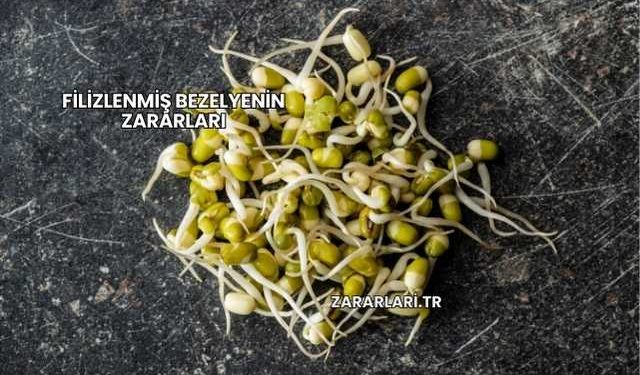 Filizlenmiş Bezelyenin Zararları