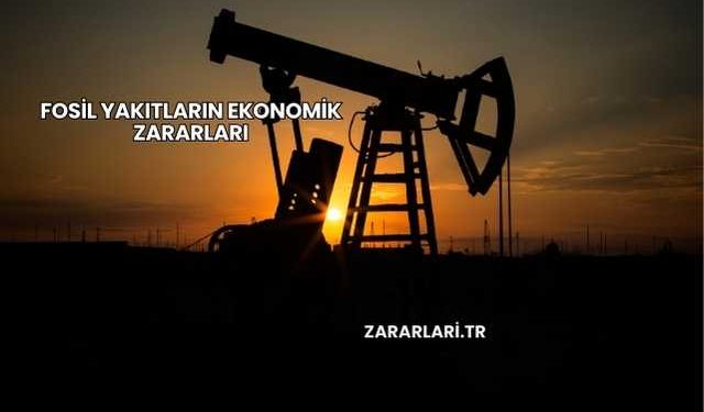 Fosil Yakıtların Ekonomik Zararları
