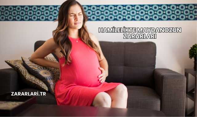 Hamilelikte Maydanozun Zararları