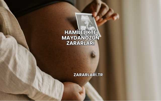 Hamilelikte Maydanozun Zararları