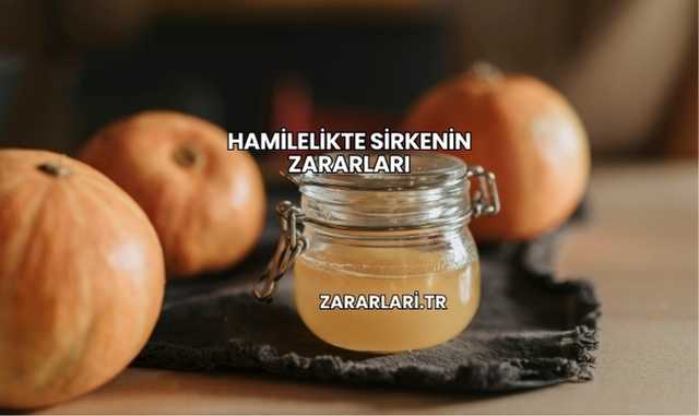 Hamilelikte Sirkenin Zararları