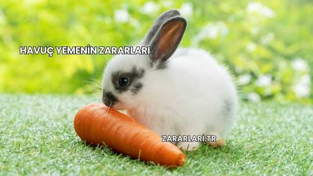 Havuç Yemenin Zararları